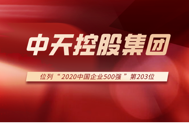 wnsr威尼斯集团列2020中国企业500强第203位！